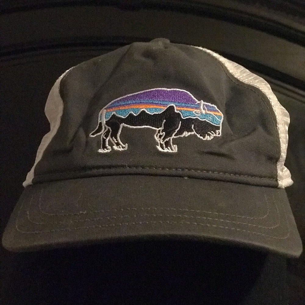 Patagonia Hat